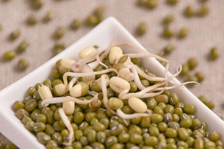 Green beans. Fresh sprouts. White plate. Healthy food.の写真素材