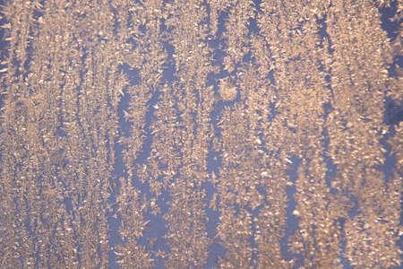 Winter pattern. White snowflakes. Blue and Gray.の写真素材