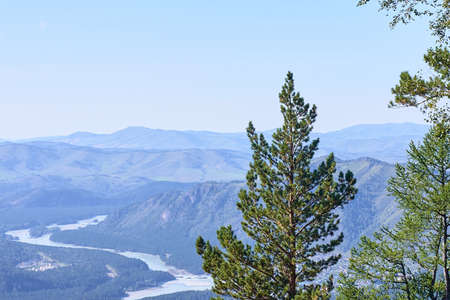Green Tree. Blue sky. High mountains. Beautiful view.