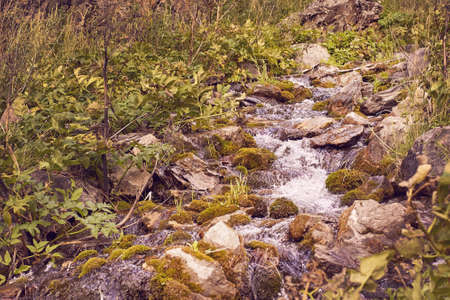 Mountain Creek. Green grass. Gray stones. Horizontal.の写真素材