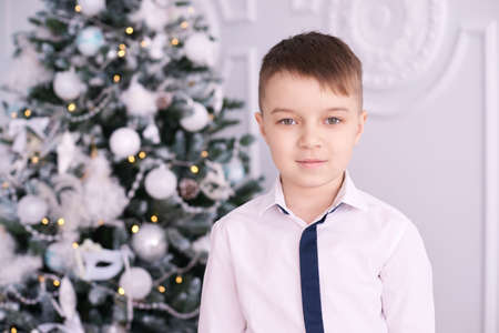 Little boy. Beautiful portrait. Christmas interior. Horizontally.の写真素材