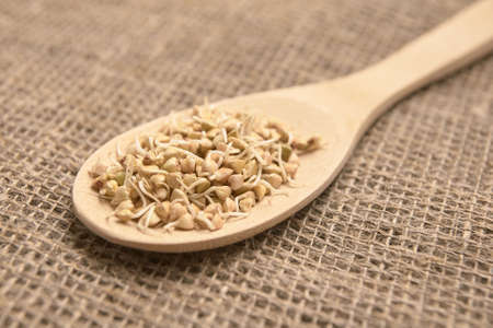 Buckwheat grains. Healthy food. Wooden spoon. Neutral background.の写真素材