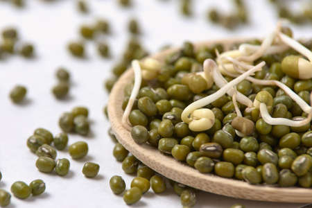 Green beans. Healthy food. Wooden spoon. Fresh sprouts.の写真素材