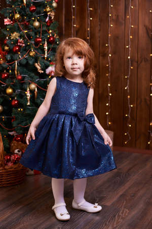 Portrait little girl. Christmas interior. Blue dress.の写真素材