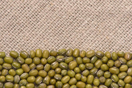 Many green beans. Neutral background. Cooking healthy food.の写真素材
