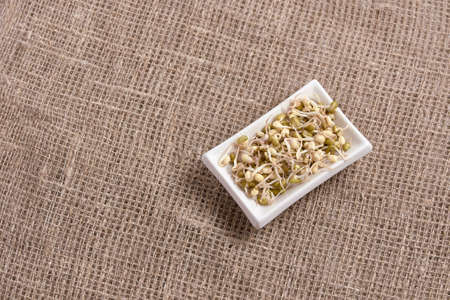 Sprouted beans. Cooking healthy food. Neutral background.の写真素材