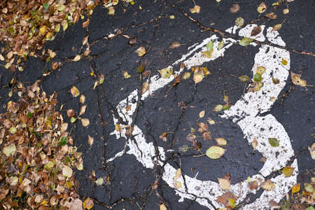 Dry leaves. Drawing heart on the pavement. Wet path.の写真素材