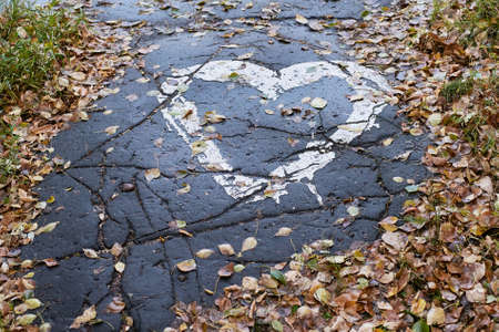 Drawing heart on the pavement. Dry leaves. Wet path.の写真素材