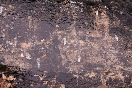 Wet dark asphalt. Water on road.の写真素材