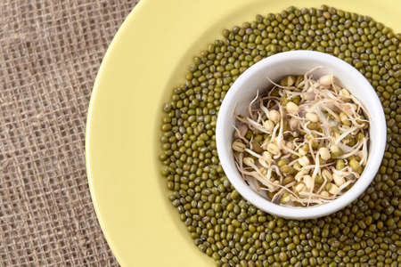 Fresh sprouts. Green beans. White cup. Healthy food.の写真素材