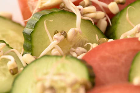 Healthy food. Fresh salad. Tomatoes and cucumbers.の写真素材