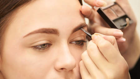 Makeup professional artist apply face mascara. Woman beauty model. Nature nude look. Contour...