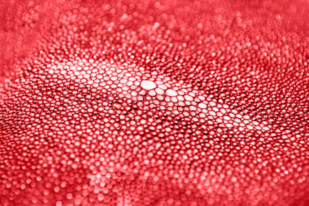 stingray skin texture. Background nature wallpaper. Colored leather pattern. Flame color. Close up. Copyspace. Toned redの写真素材