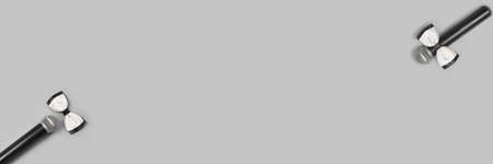 Boy and girl microphone concept. Grey background. Singing artist. Public speaking card. Entertainment podcast person. Event manager. Horizontal banner copyspace. Business presentation. WC. Newcasterの写真素材