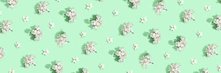 Apple tree floral pattern. Bright summer background. Spring white fruit flowers. Repeat spring texture. Creative trend composition. Many springtime elements. Horizontal banner. Green mintの写真素材