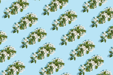 Apple tree floral pattern. Bright summer background. Spring white fruit flowers. Repeat spring texture. Creative trend composition. Many springtime elements. Blueの写真素材