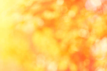 Colorful bokeh background. Business blurry wallpaper. Abstract soft texture. Dreamy sunlights. Card...