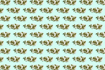 Apple tree floral pattern. Bright summer background. Spring white fruit flowers. Repeat spring...