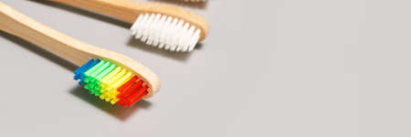 Set of ecology toothbrush on grey background. Different color. Diversity concept. Sustainable mouth...