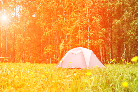 Tent camp in forest. Local travel concept. Sustainable lifestyle. Summer vacation. Family trail. Reduce carbon footprint. Outdoor houseの写真素材