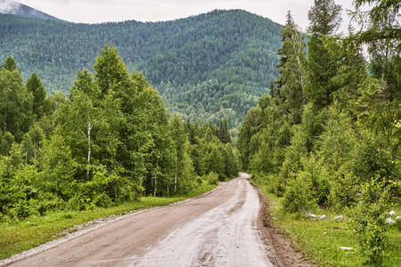 Vacation roadtrip landscape. Russian Altai mountains. Multa region. Holiday at home. Staycation concept. Long distanse road. Reduce carbon footprint. Sustainable lifestyle. Holiday trail. Local travelの写真素材