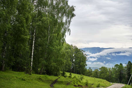 Vacation landscape. Russian Altai mountains. Multa region. Holiday at home. Staycation concept. Long distanse road. Reduce carbon footprint. Sustainable lifestyle. Holiday trail. Local travelの写真素材