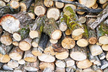 Wood chop stove. Woodpile texture background. Trees store. Hardwood pile stack. Wooden biomass wall. Split forest. Agriculture work. Round shapeの写真素材
