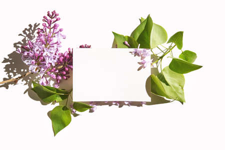 Trend sunny lilac mockup. White paper. Nature garden design. Congratulations flower and leaves card. Purple flora fantasy. Aerial view. Romantic template. Modern conceptの写真素材