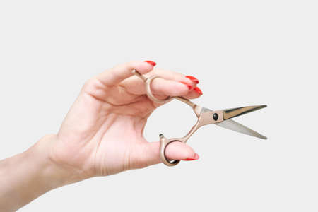 Repair long hair procedure. Haircut at salon. Woman hairstyle. Master hand with scissors. Adult female person. Closeup view. Studio equipment. Lady preparation. Blonde dry.の写真素材