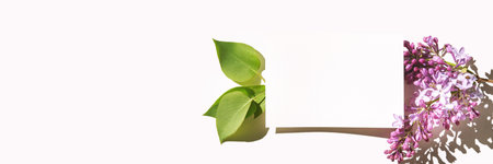 Trend sunny lilac mockup. White paper. Nature garden design. Congratulations flower and leaves card. Purple flora fantasy. Aerial view. Romantic template. Modern conceptの写真素材