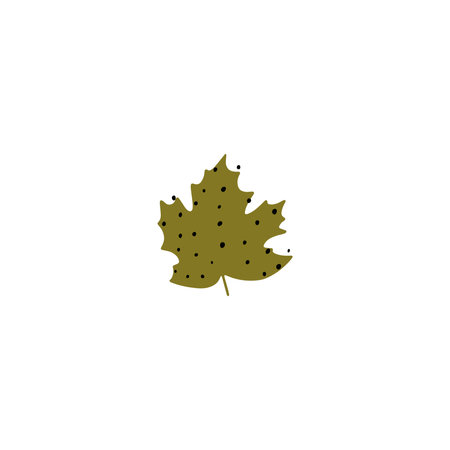 Fall leaf icon vector illustration. Hand drawn colorful design. Isolated graphic symbols. Autumn single art sign. Boho scandi colors. Nature abstract conceptのイラスト素材