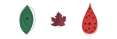 Fall leaf icon vector illustration set. Hand drawn 3 colorful design.