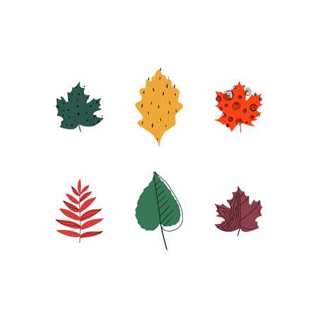 Fall leaf icon vector illustration set. Hand drawn 3 colorful design. Isolated graphic symbols. Autumn sign. Boho scandi colors. Nature abstract concept. Line art. Grey background. Red, yellow, greenのイラスト素材