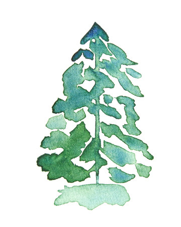 Green watercolor texture tree. Summer flora branch. Beautiful plant illustration. Sketch hand drawing art. Fir woods aquarelle card. Design pine elements. Isolated white backgroundの写真素材