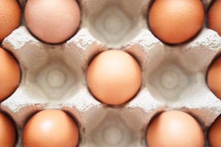 Eggs set. Many food protein. Colorful bright on background. Hard shadow. Easter sun box. Carton organic concept. Traditional cuisine top view. Flatlayの写真素材