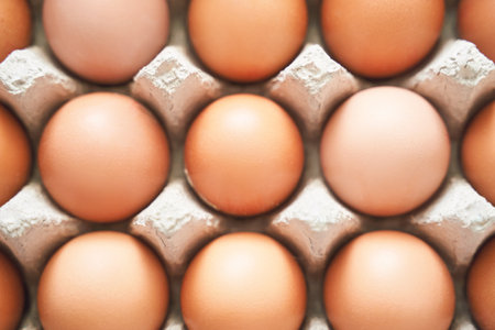 Eggs set. Many food protein. Colorful bright on background. Hard shadow. Easter sun box. Carton organic concept. Traditional cuisine top view. Flatlayの写真素材