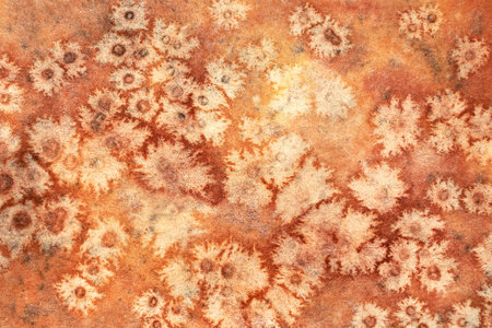 Watercolor autumn texture background. Orange and yellow abstract landscape gradient. Peach batik...