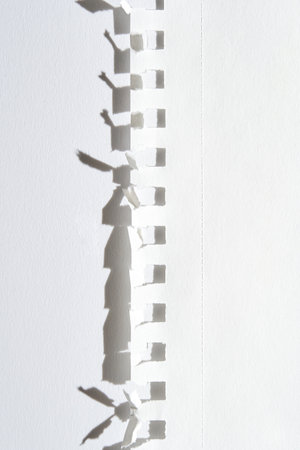 Artistic torn paper casting shadows on white surface creating unique pattern.の写真素材