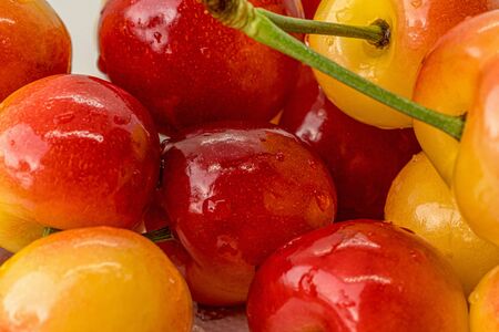 Cherry on a white background. Red and yellow berry closeup macro. Blurred background. Organic fruit. Fresh fruit.の写真素材