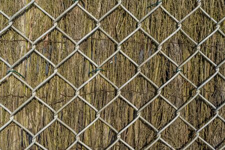 Dry branch fence with metal grill. Beautiful rustic closeup. Wood texture, abstract wooden background. Background texture old. High quality photoの写真素材