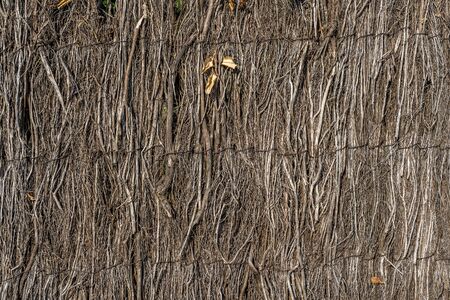 Dry branch fence. Beautiful rustic closeup. Wood texture, abstract wooden background. Background texture old.の写真素材