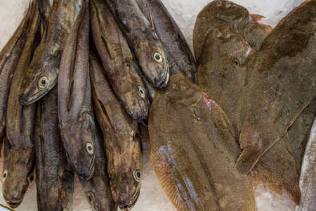 French fish market. Flounder and hake.の写真素材