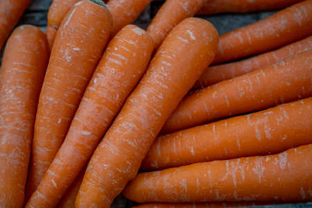 Close up of fresh carrots on the farmer market. Macro photoの写真素材