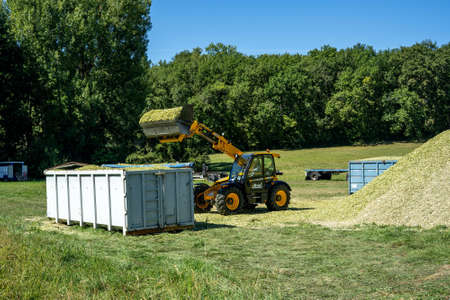 Laguepie, France 25.08.2020 Preparing sorghum silage for cattle feeding. Rural background