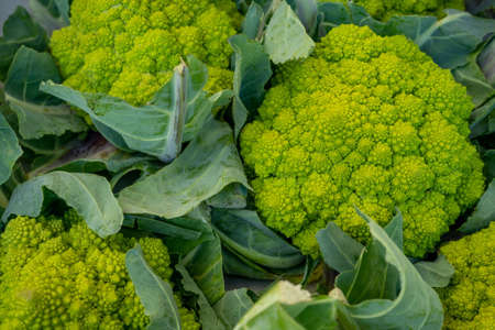 Romanesco broccoli or Roman cauliflower, texture detail of the healthy vegetable with lots of nutrientsの写真素材