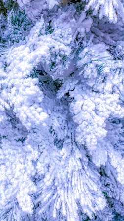 White flocked Christmas tree closee up branches. Lights blue color. Photo from I phone