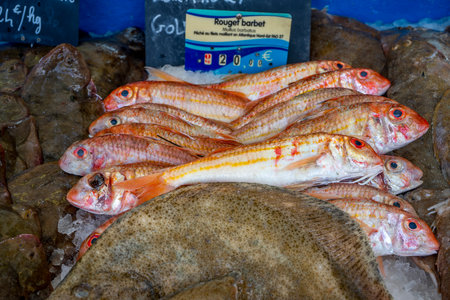 Capbreton, France 27.06.2020 Fresh fishes in a market. Fish caught in the Atlantic ocean. High quality photoのeditorial素材