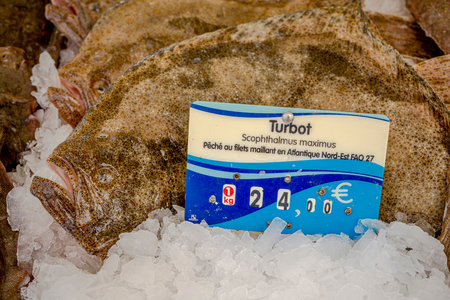 Capbreton, France 27.06.2020 Fresh fishes in a market. Fish caught in the Atlantic ocean. High...