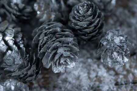 Christmas decorations with Pine Cone gray color as texture background. Hight quality photo