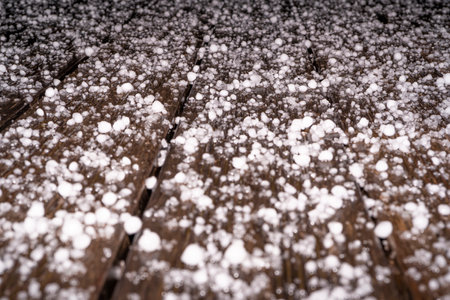 Large grains of hail on a black background. Background, texture. After Heavy Storm with Hail on the terrace in the night. High quality photoの写真素材